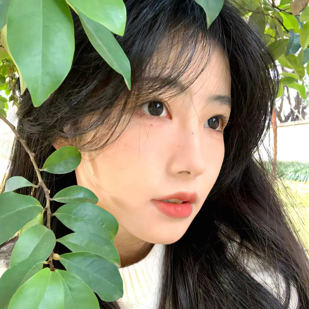烬相思